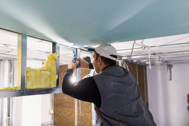 Best Commercial Insulation in Olivet, NJ