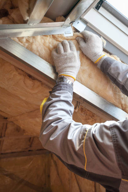 Best Geographic-Specific Insulation Services in Olivet, NJ