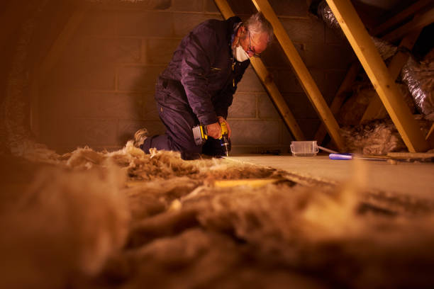 Best DIY Insulation Kits and Guidance in Olivet, NJ